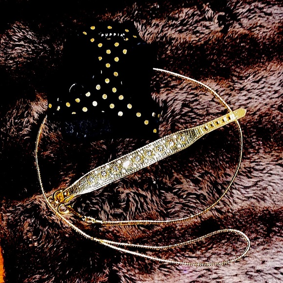 Puppia Gold Sparkle leash collar harness set. Furrylicious! Excellent condition. - Picture 3 of 12